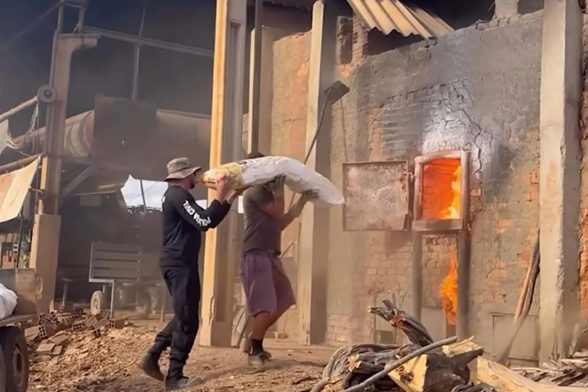 incineracao1