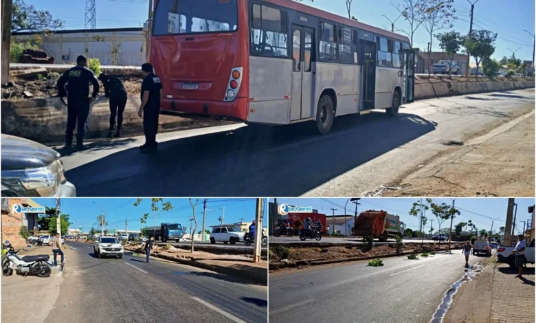 ONIBUS-780x470
