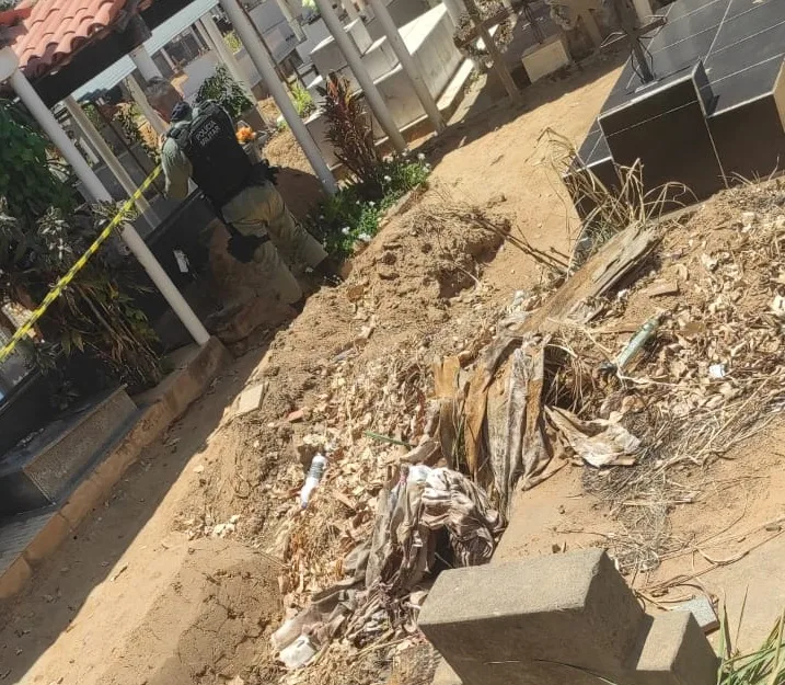 P40G-IMG-69826965453581b0fa