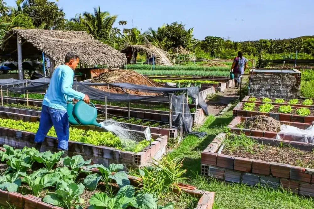 046955b186b0c42b3ca9371fe4f904ed