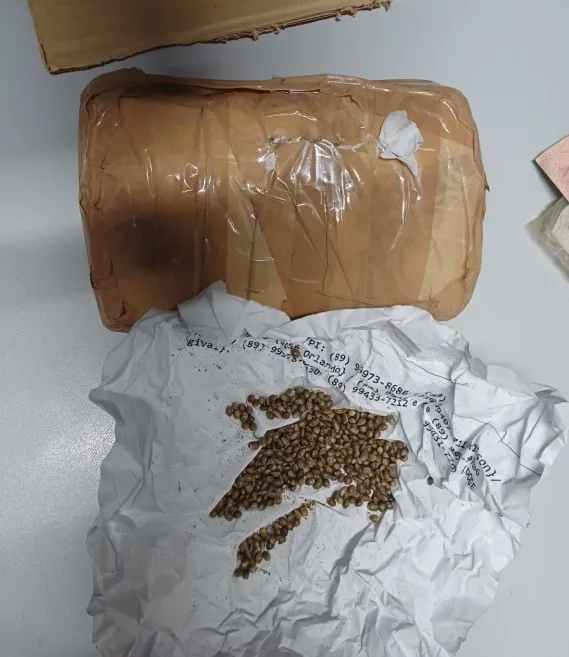 FA-IMG-9e3e5ff0b49a589d93bd