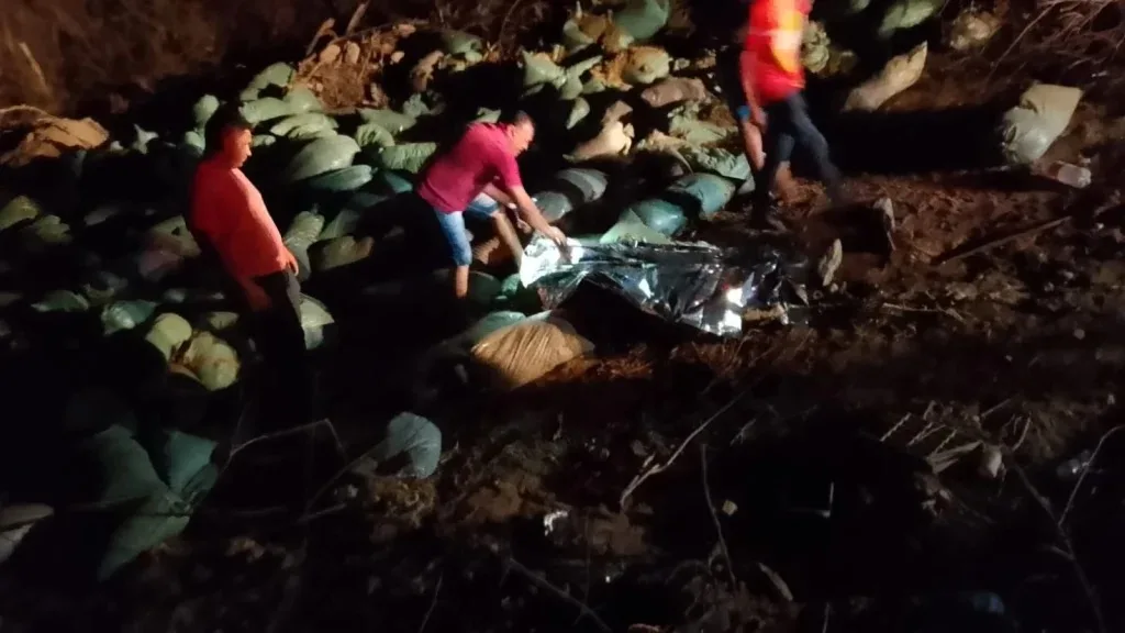 f420535c-b94f-440b-9572-a0cb727f559e