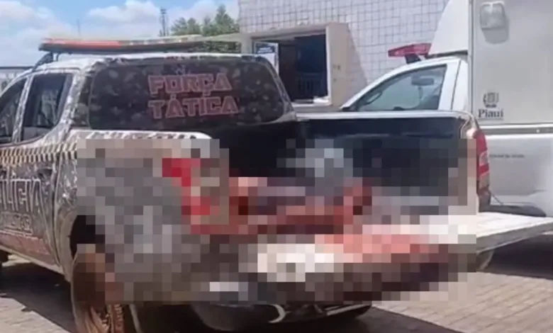 photo_4952134113502628644_y-780x470