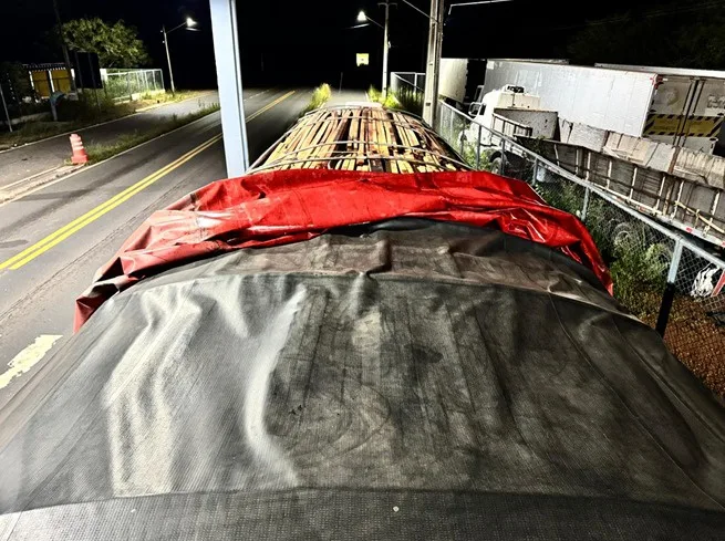 Carga de madeira – Foto: PRF