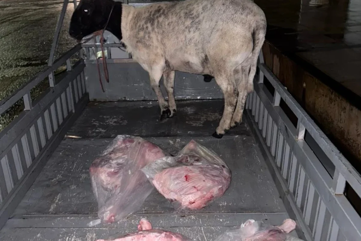 603c8d0a-ed91-4fda-91eb-6d96212d5efe-rlezm4uwe77j0hht5s6zh2r6y0kccuqo56aysx8x8g (2)