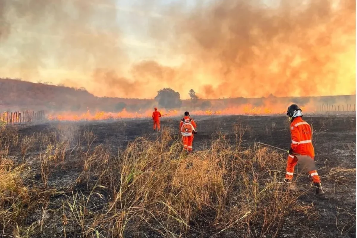 Foto: Corpo de Bombeiros de Picos