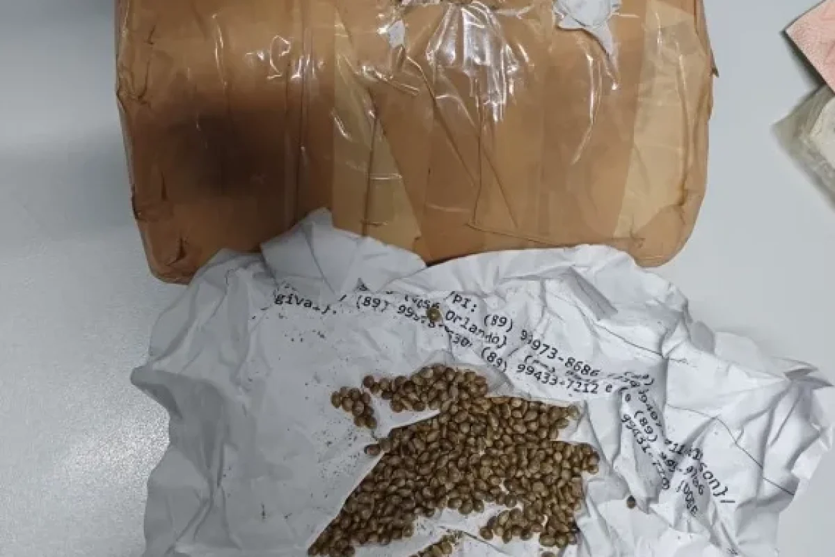 FA-IMG-9e3e5ff0b49a589d93bd