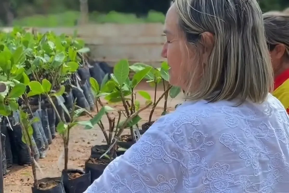 Secretária Fátima Sá distribuindo mudas e sementes.