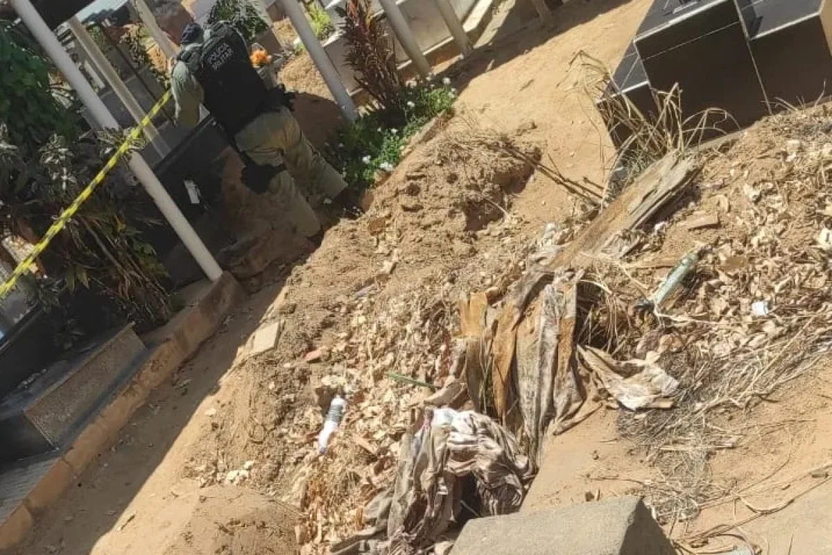 P40G-IMG-69826965453581b0fa