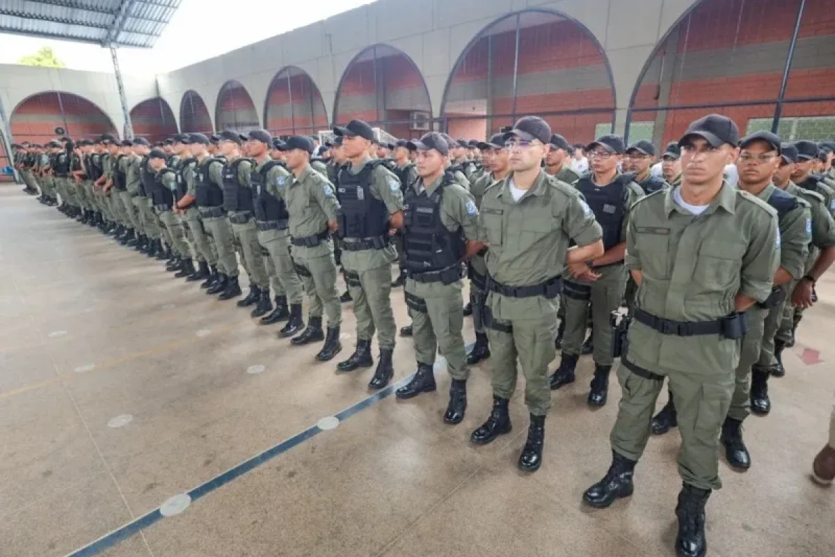 P40G-IMG-a77a3dc30ec5895437 (1)