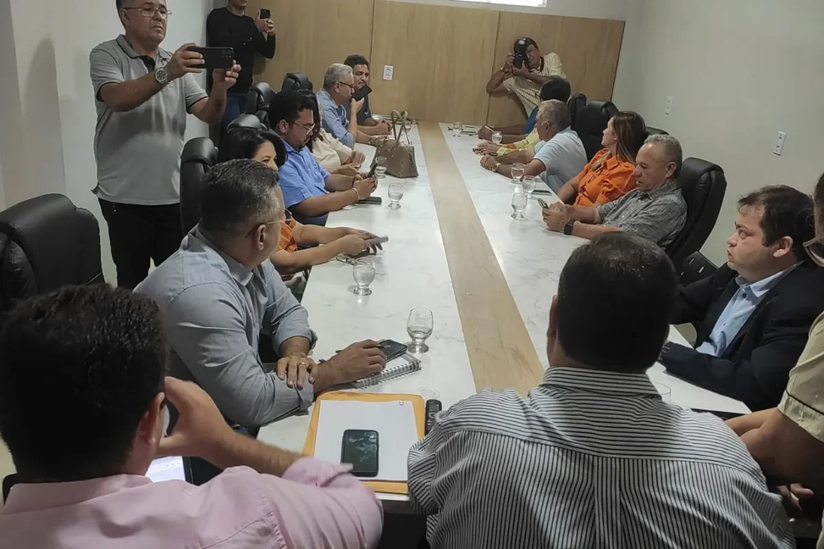 Reunião na Câmara Municipal de Picos - Foto: Divulgação