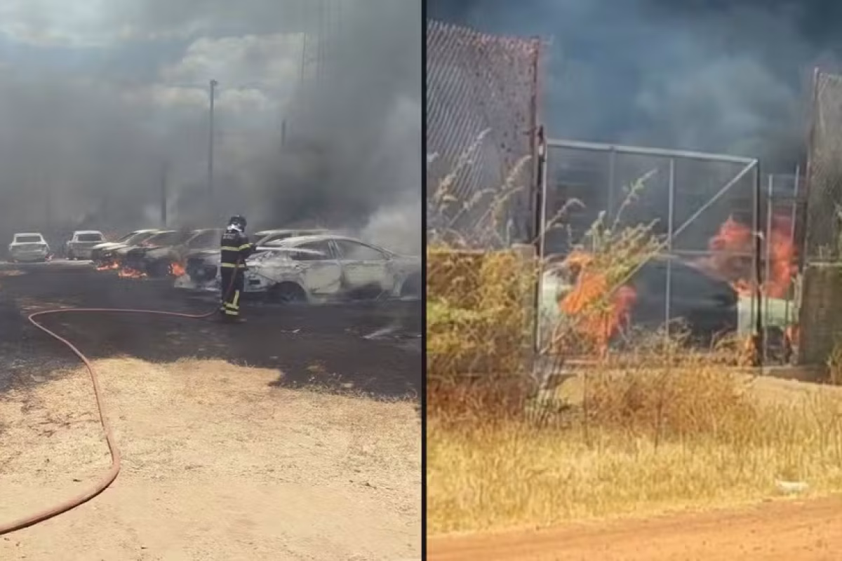 Incêndio deixa vários carros carbonizados em Picos — Foto: Reprodução