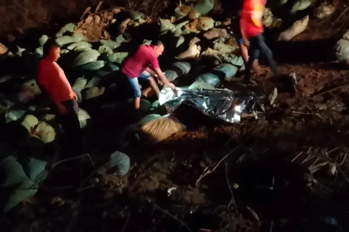 f420535c-b94f-440b-9572-a0cb727f559e