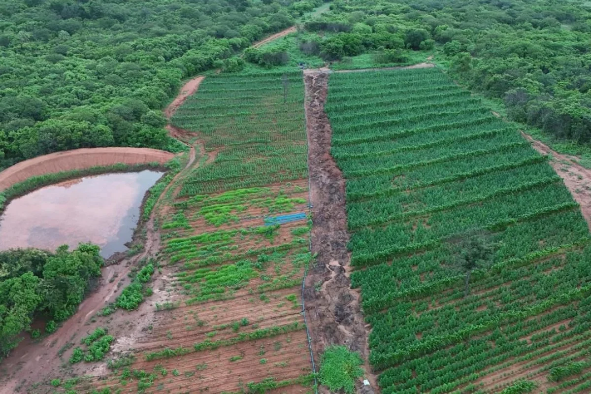 Fonte: Divulgação